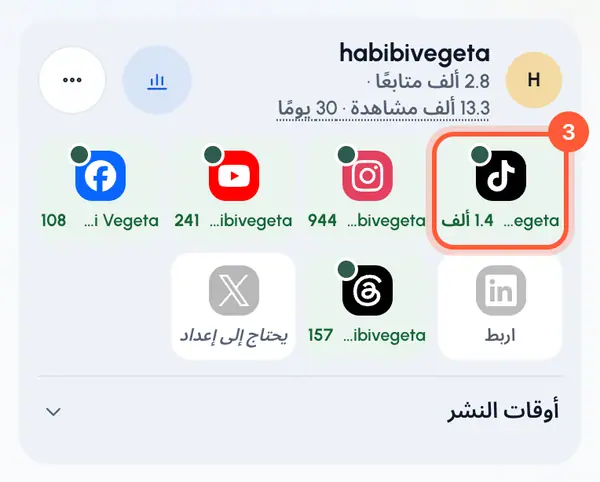 تعود إلى ملفات النشر مع رسالة تفيد بأن المنصة رُبطت. يتحوّل المربع إلى اللون الأخضر ويعرض اسم مستخدم الحساب.