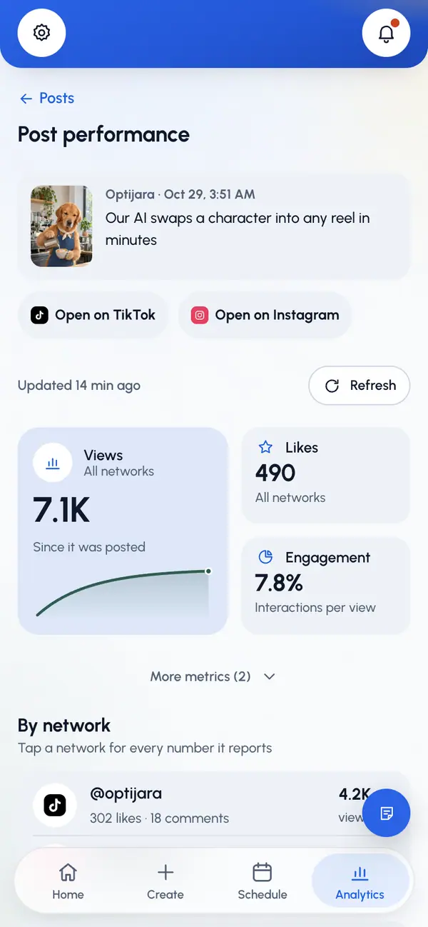 Read Post performance: the video, its caption and a link to open it on each network.