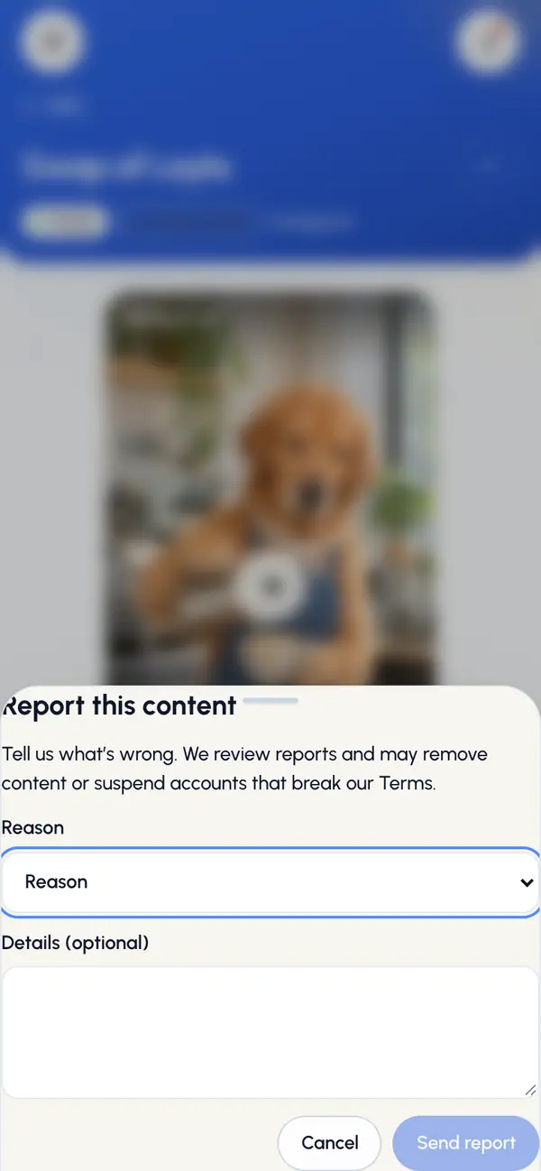 Tap Report. The Report this content window opens.