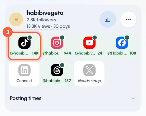 You come back to Profiles with a message that the network is connected. The tile turns green and shows the account's handle.