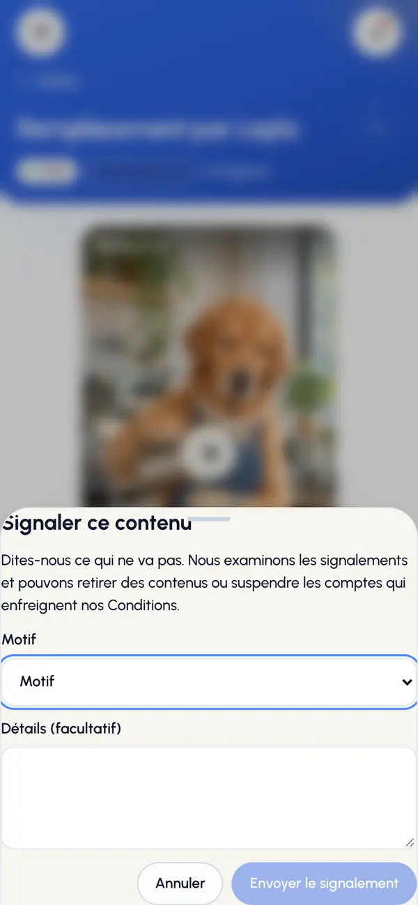 Touchez Signaler. La fenêtre Signaler ce contenu s’ouvre.