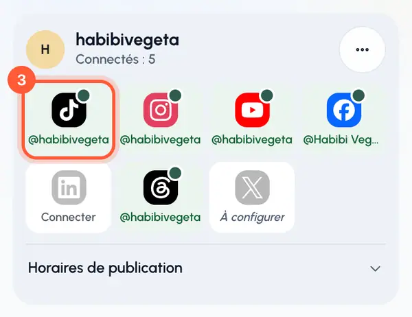 Vous revenez sur Profils avec un message indiquant que le réseau est connecté. La tuile devient verte et affiche le nom d’utilisateur du compte.