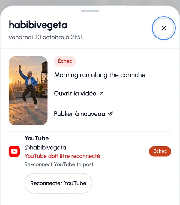Touchez la publication. Un panneau s’ouvre avec chaque réseau visé.