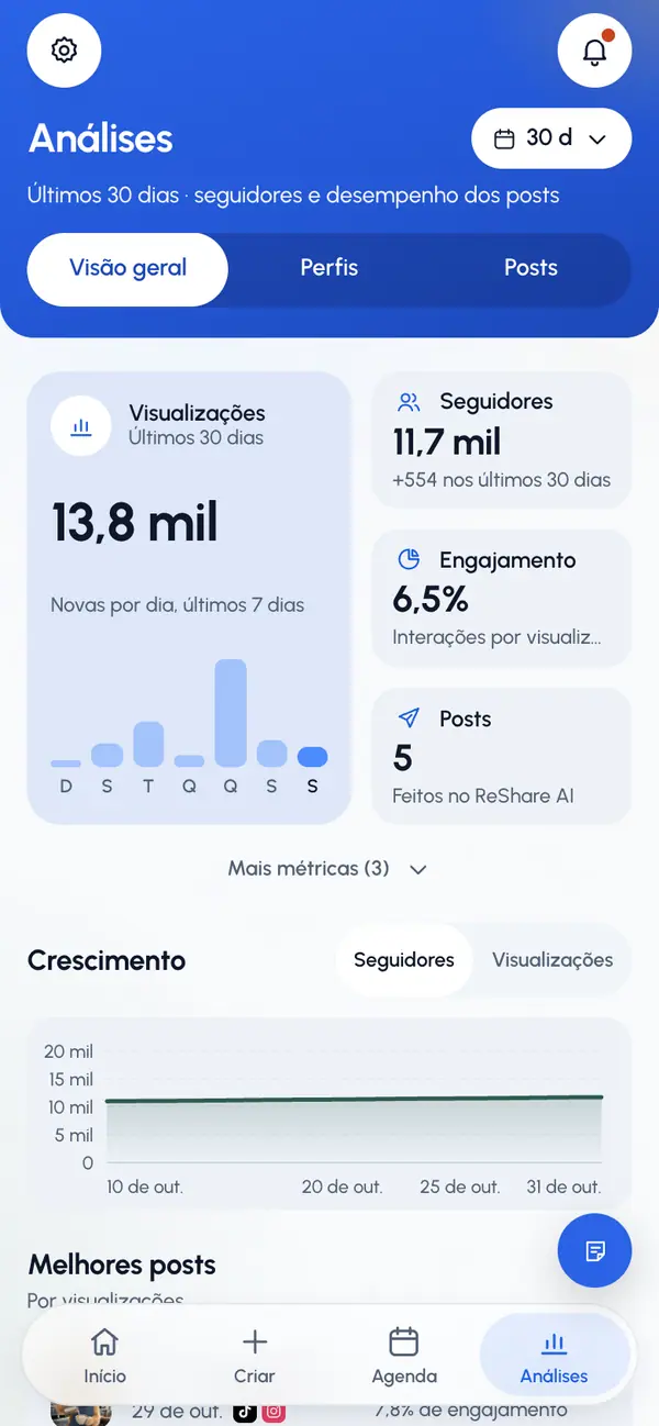 Escolha uma visão: Visão geral, Perfis ou Posts. No celular, as visões são botões abaixo do título. No computador, são abas.