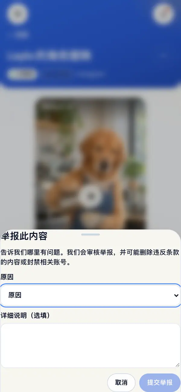 点按举报,会打开举报此内容窗口。