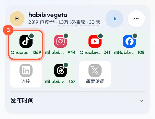 你会回到发布档案页面，并看到该平台已连接的提示。图块会变成绿色，并显示账号的用户名。