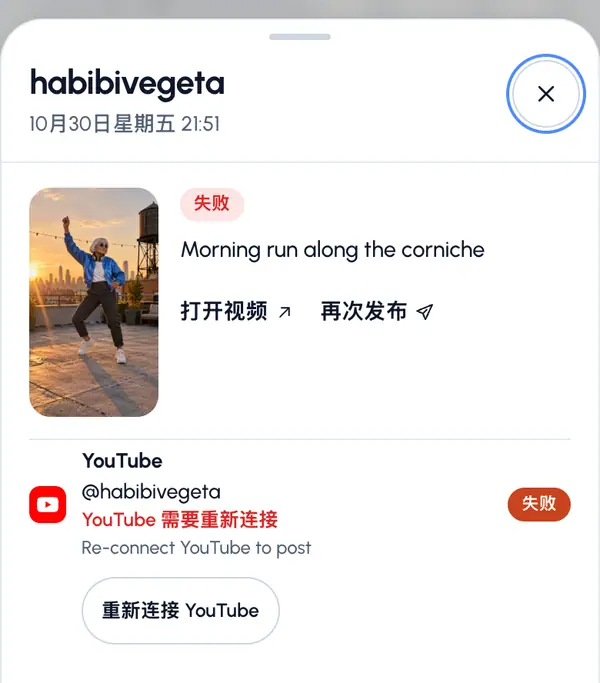 点按帖子。会打开一个面板,列出它发往的每个平台。
